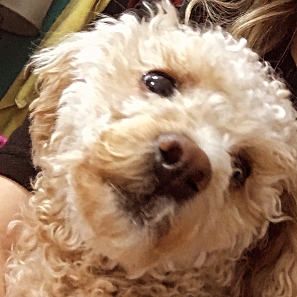 Meet your Posher, Eunice - Picture 1 of 1